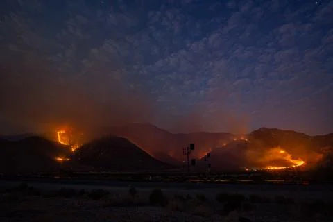 Forest Fire at Night 스톡 사진