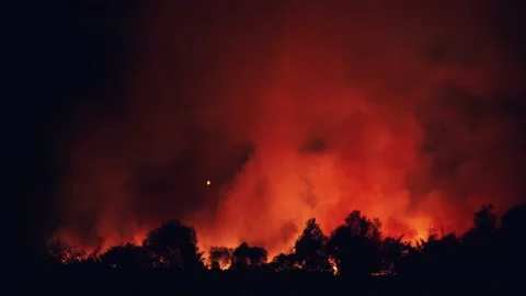 Forest fire at night, wildfire after dry summer season, burning nature in Russia Stock Footage 139989774
