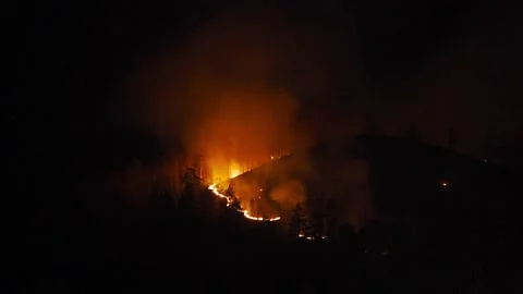 Forest fire at night, wildfire after dry summer season, burning nature Stock Footage 149029668