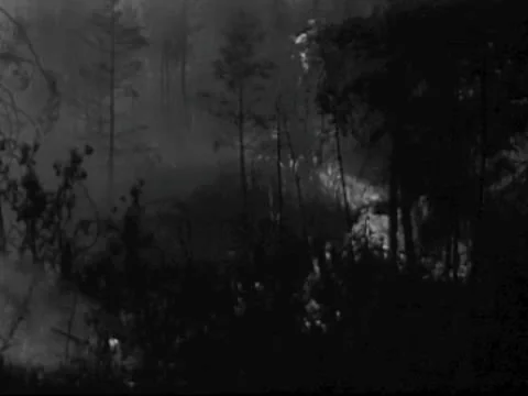 FOREST FIRE - NORTHERN MN 1930'S Stock Footage 22575260