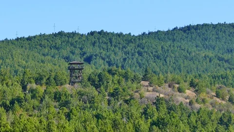 Forest fire observation tower Stock Footage 101098539