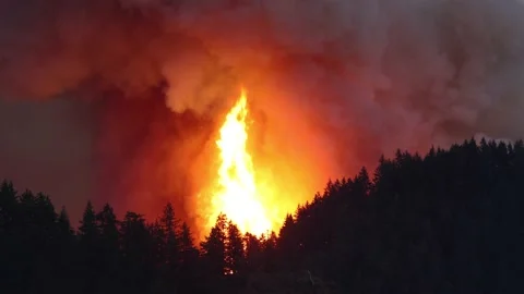 Forest Fire in Oregon at night Stockbeeldmateriaal 198982479