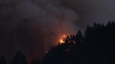 Forest Fire in Oregon at night Vídeo Stock 220449661