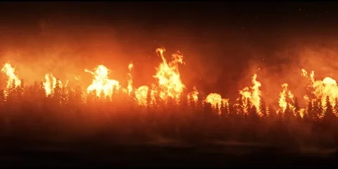 Forest fire - panorama (1440p) Stock Footage 140762534