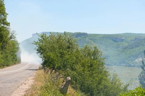 Forest in fire Stock Photos