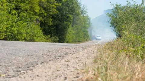 Forest in fire Foto stock