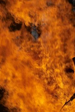 Forest fire Stock Photos