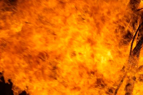 Forest fire Stock Photos