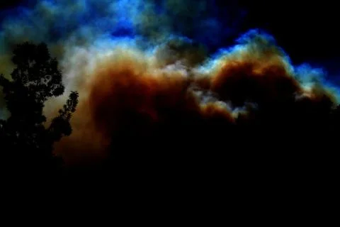Forest Fire Stock Photos