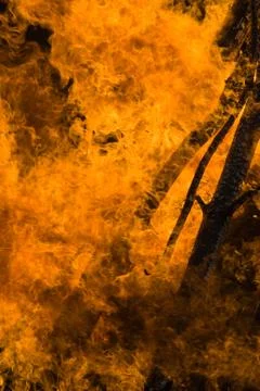 Forest fire Stock Photos