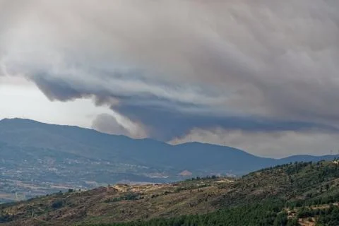 Forest fire Stock Photos