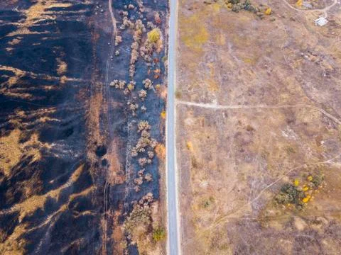 Forest fire Stock Photos