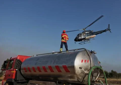 Forest fire. Stock Photos