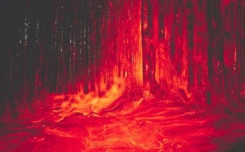 Forest on fire Stock Photos