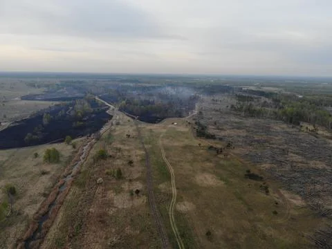Forest fire Stock Photos