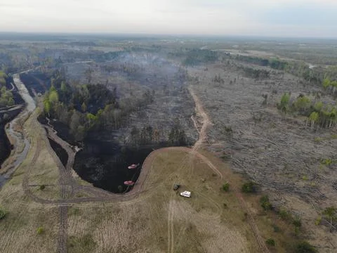 Forest fire Stock Photos