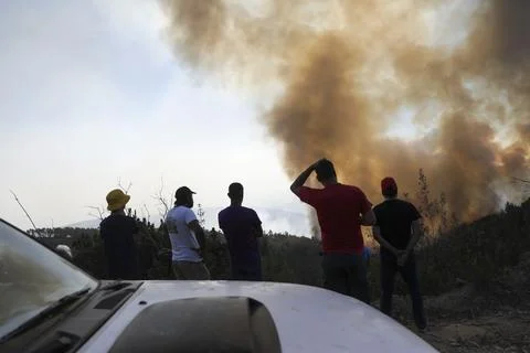Forest fire in Proenca a Nova, Portugal - 15 Sep 2026 Foto stock
