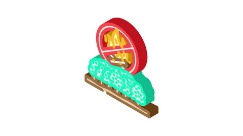 Forest fire prohibited isometric icon animation Stock Footage 327282112