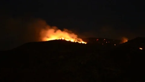 Forest fire raging Video stock 74089118