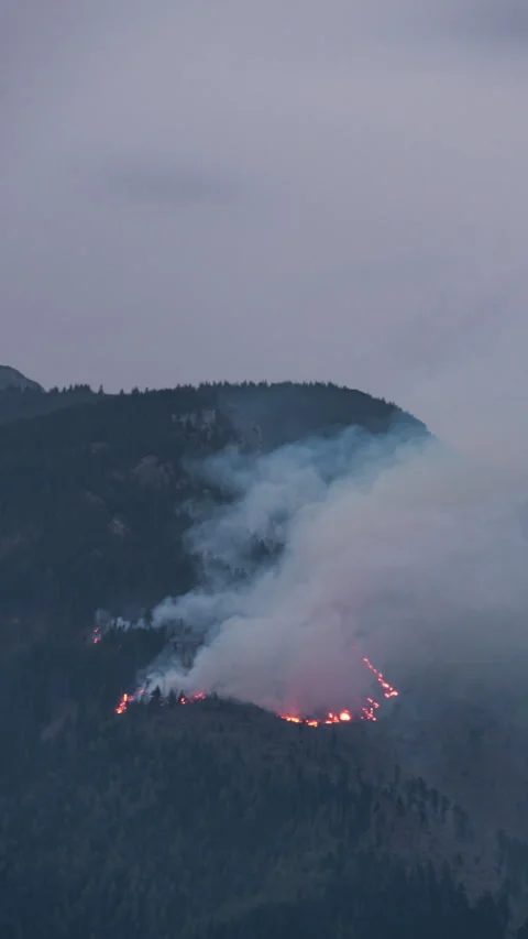 Forest fire rapidly spreading in inaccesible terrain, timalepse Stock Footage 308799540
