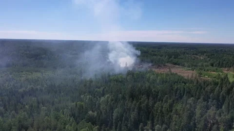 Forest fire, rescue service workers, Ulrika, Sweden Vidéo 218922281