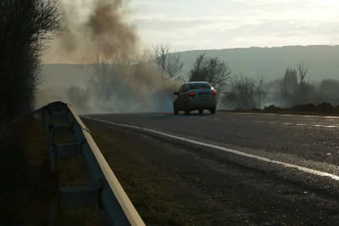 Forest fire on the roadside Stock Footage