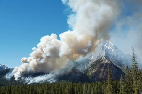 Forest fire in the rocky mountains Stock Photos
