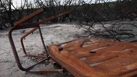 Forest Fire ruins Stock Footage 94255448