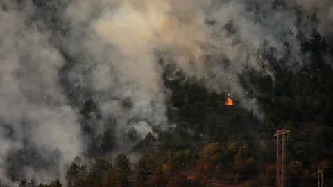 Forest fire on the side of a mountain ridge. Stock Footage 92606185