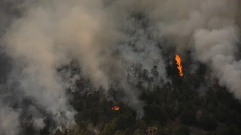 Forest fire on the side of a mountain ridge Stock Footage 92606237