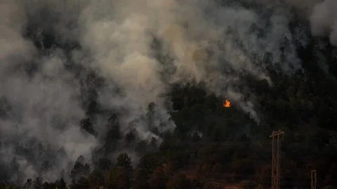 Forest fire on the side of a mountain ridge. Stock Footage 92606307