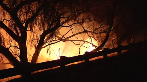 Forest fire silhouette flames on the side of road 1 Stock Footage 219300347