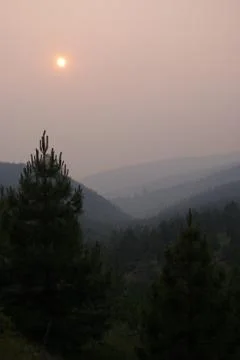 Forest fire sinset Stock Photos