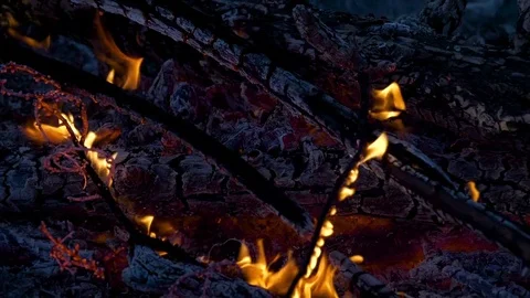 Forest fire slow motion 12 Stockbeeldmateriaal 82231760