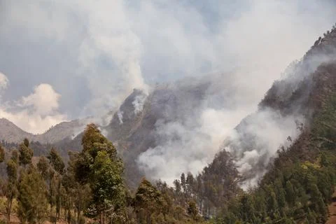 Forest fire. Smoke clouds over the forest. A forest is burning in a mountainous Stock Photos