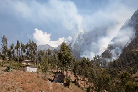 Forest fire. Smoke clouds over the forest. A forest is burning in a mountainous Stock Photos