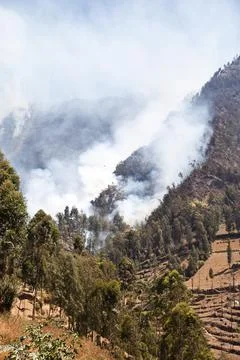 Forest fire. Smoke clouds over the forest. A forest is burning in a mountainous Stock Photos