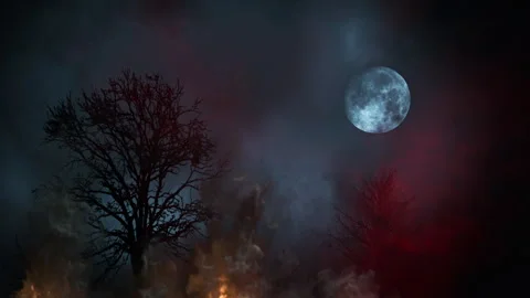 Forest fire with smoke by the full moon in the evening. Stock Footage 264652693