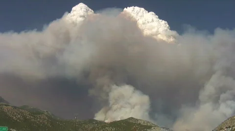 Forest fire smoke HD Stock Footage