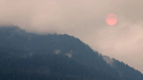 Forest Fire Smoke Makes Sun Pink Stock Footage 55124923