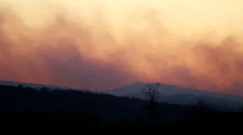Forest Fire Smoke at Sunset Stock-Footage 5163402