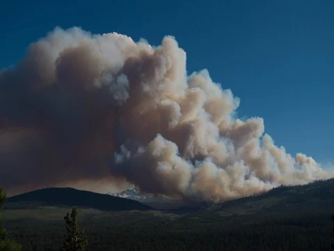 FOREST FIRE SMOKE TIMELAPSE TREES IN FRONT OF SNOWY MOUNTAINS SMOKE BILLOWING Video stock 80730528
