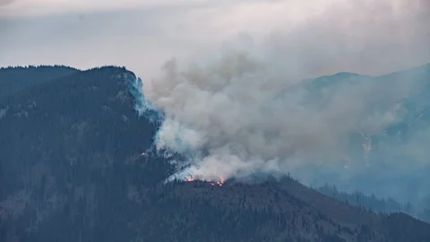 Forest fire spreading as the night falls, timelpase Stock Footage 308817531