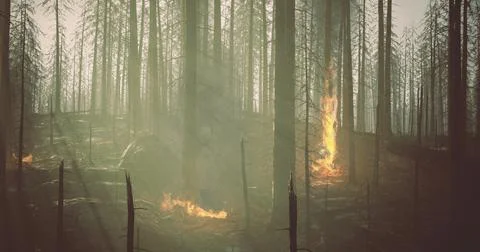 Forest fire spreading through burned trees in a misty environment Stock Illustration