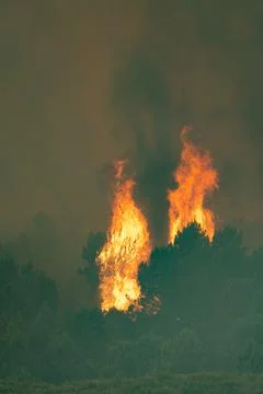 Forest fire spreading through dry vegetation in spain Stock Photos