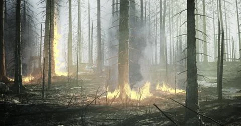 Forest fire spreads through trees in a dense woodland area during daylight Stock Illustration