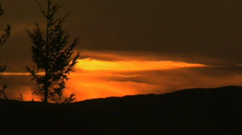 Forest Fire at Sunset Stock Footage 711378