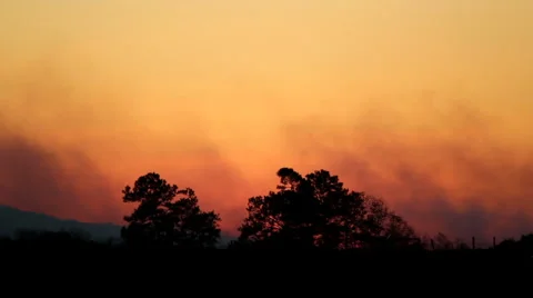 Forest Fire at Sunset Stock-Footage 5163413
