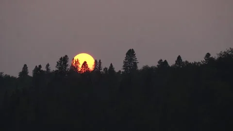Forest Fire Sunset over Lake in Northern Ontario Stock Footage 314393663
