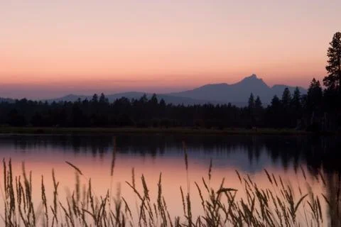 Forest fire sunset Foto stock